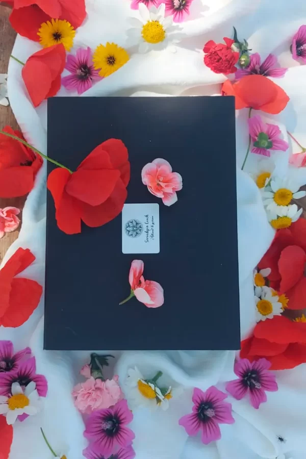 Estuche-Collar-2 Collar Freyja